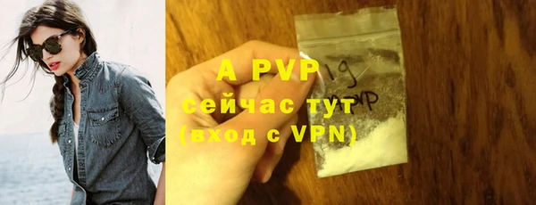 дживик Гусиноозёрск