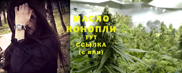 мяу мяу мука Гусь-Хрустальный