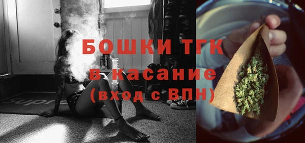 2c-b Дмитриев